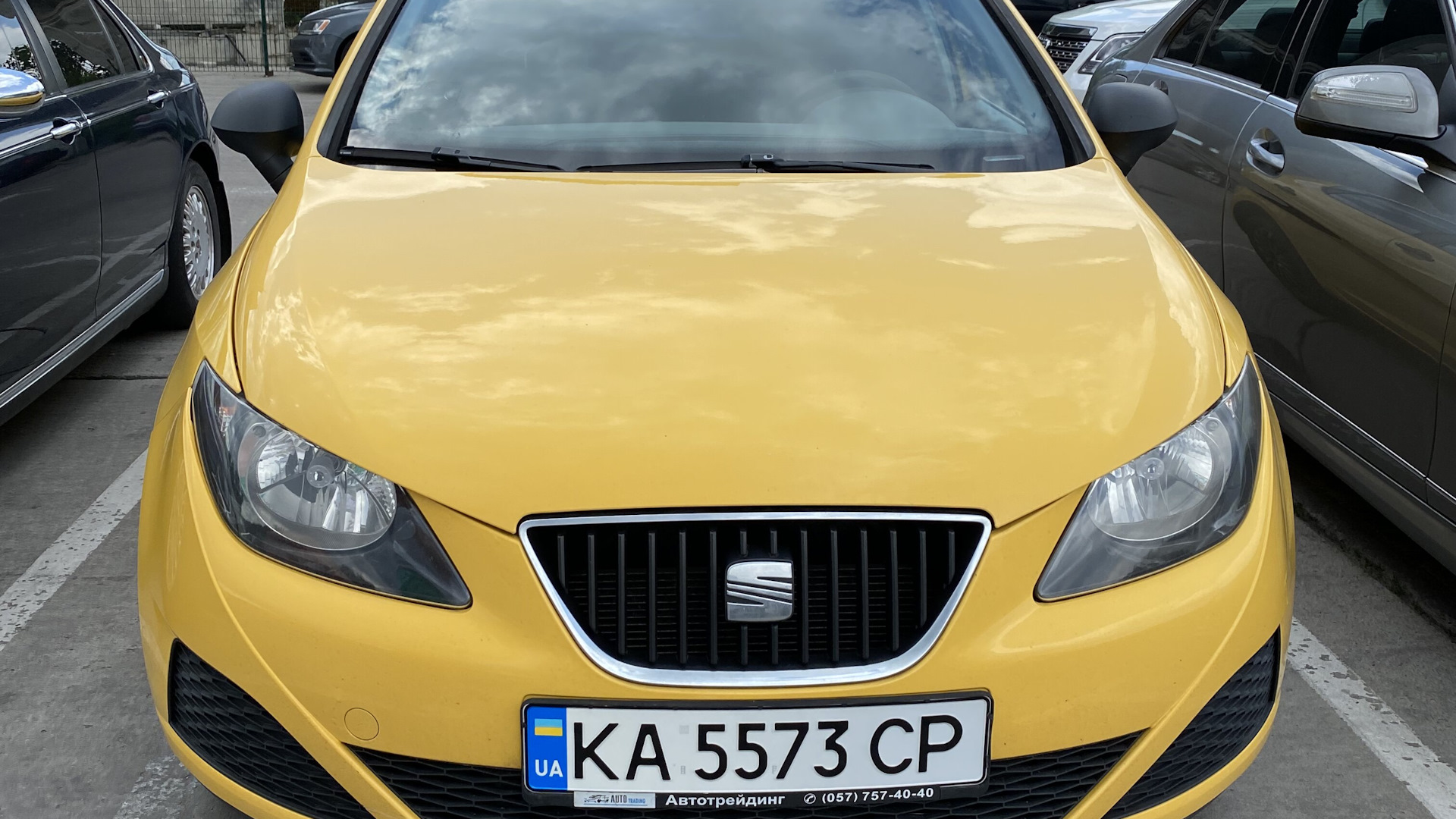 SEAT Ibiza (6J) 1.4 бензиновый 2010 | 1.4 на DRIVE2