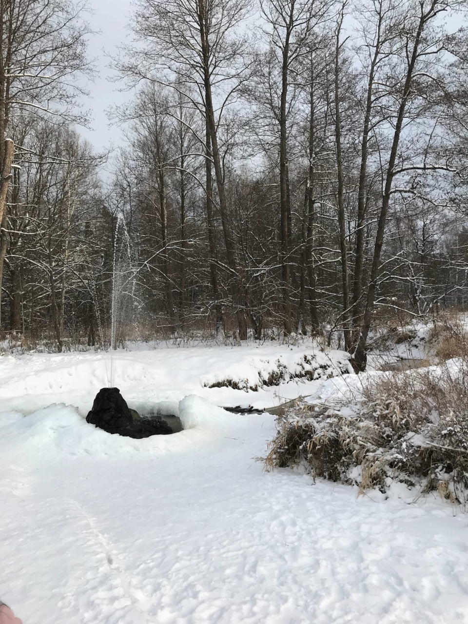 Фото в бортжурнале Renault Kaptur (2016)