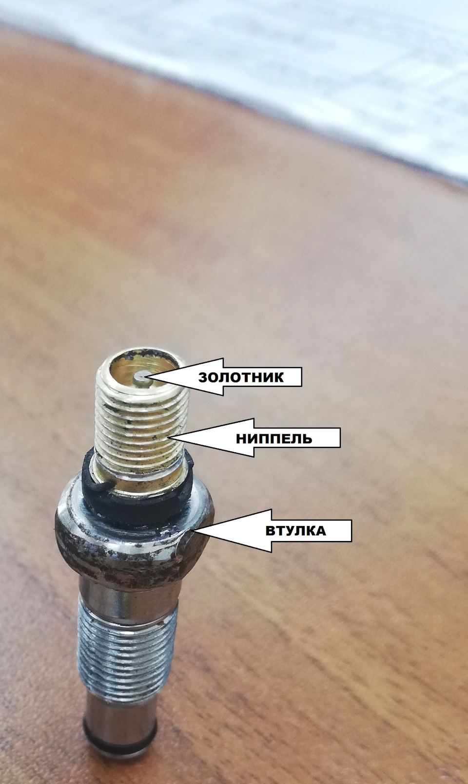 Ниппель м10. Ниппель м8х1.25 с золотником. Нипель резьбовой для безкамерок. Золотник ниппель автомобильный. Ниппель для подкачки с резьбой м5.