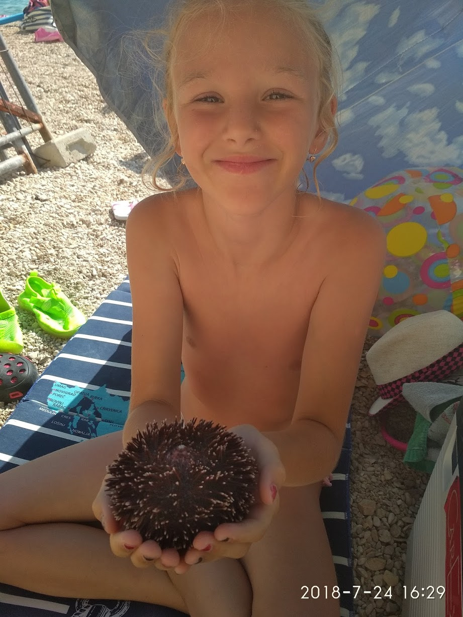 Он живой, папа выловил деткам посмотреть. И обратно в море его выпустили. — Renault Espace (4G)