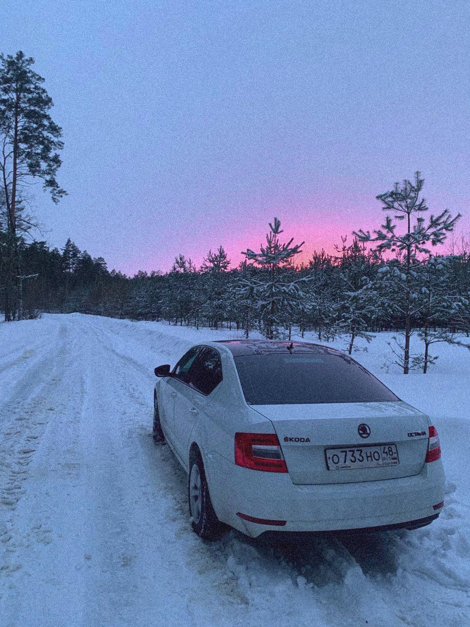 Продажа, покупка и мудаки с Авито Автотеки! — Skoda Octavia A7 Mk3, 1,6 л,  2019 года | продажа машины | DRIVE2