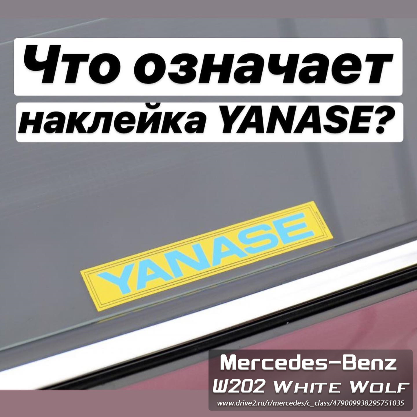 Что значит w d. Что значит w d. Что значит w d. Что значит w d. Что значит w d.