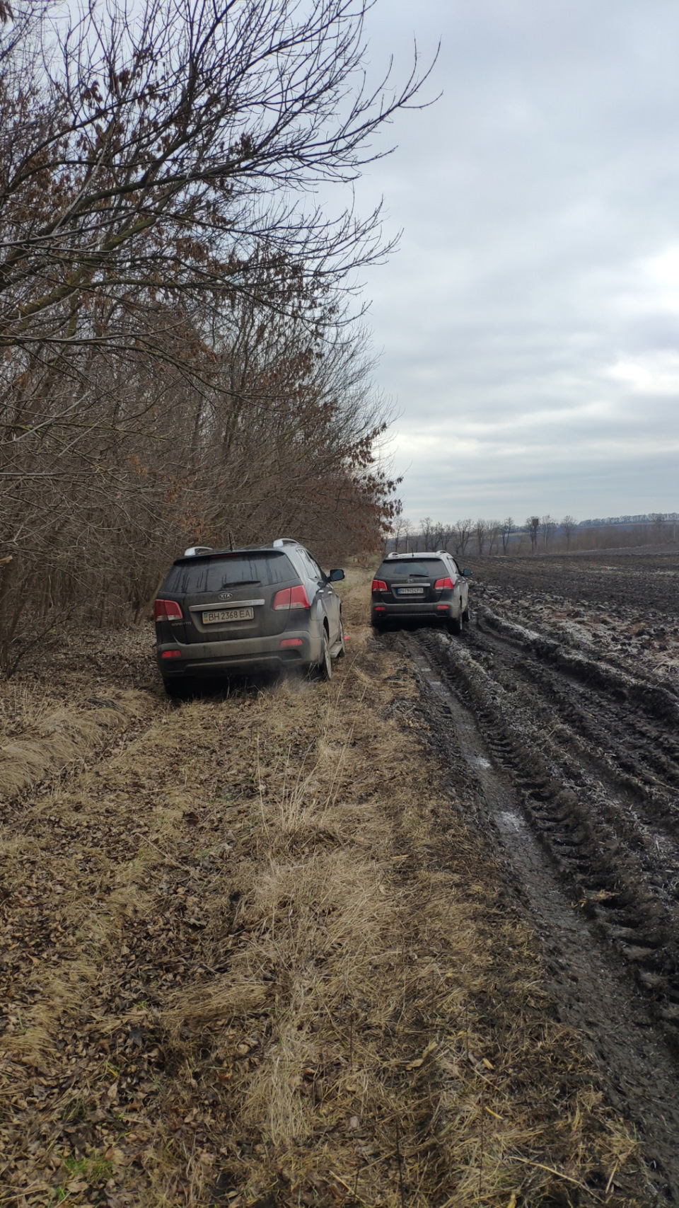 Дурная голова машине покоя не даёт — KIA Sorento (2G), 2,2 л, 2012 года |  покатушки | DRIVE2