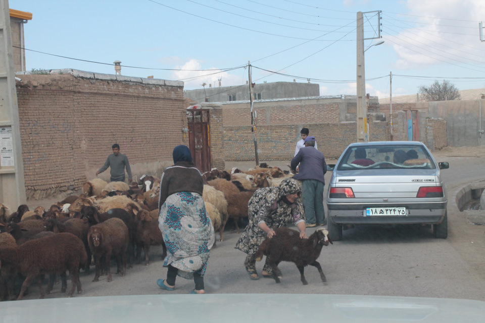 Фото в бортжурнале Nissan Patrol (Y61)