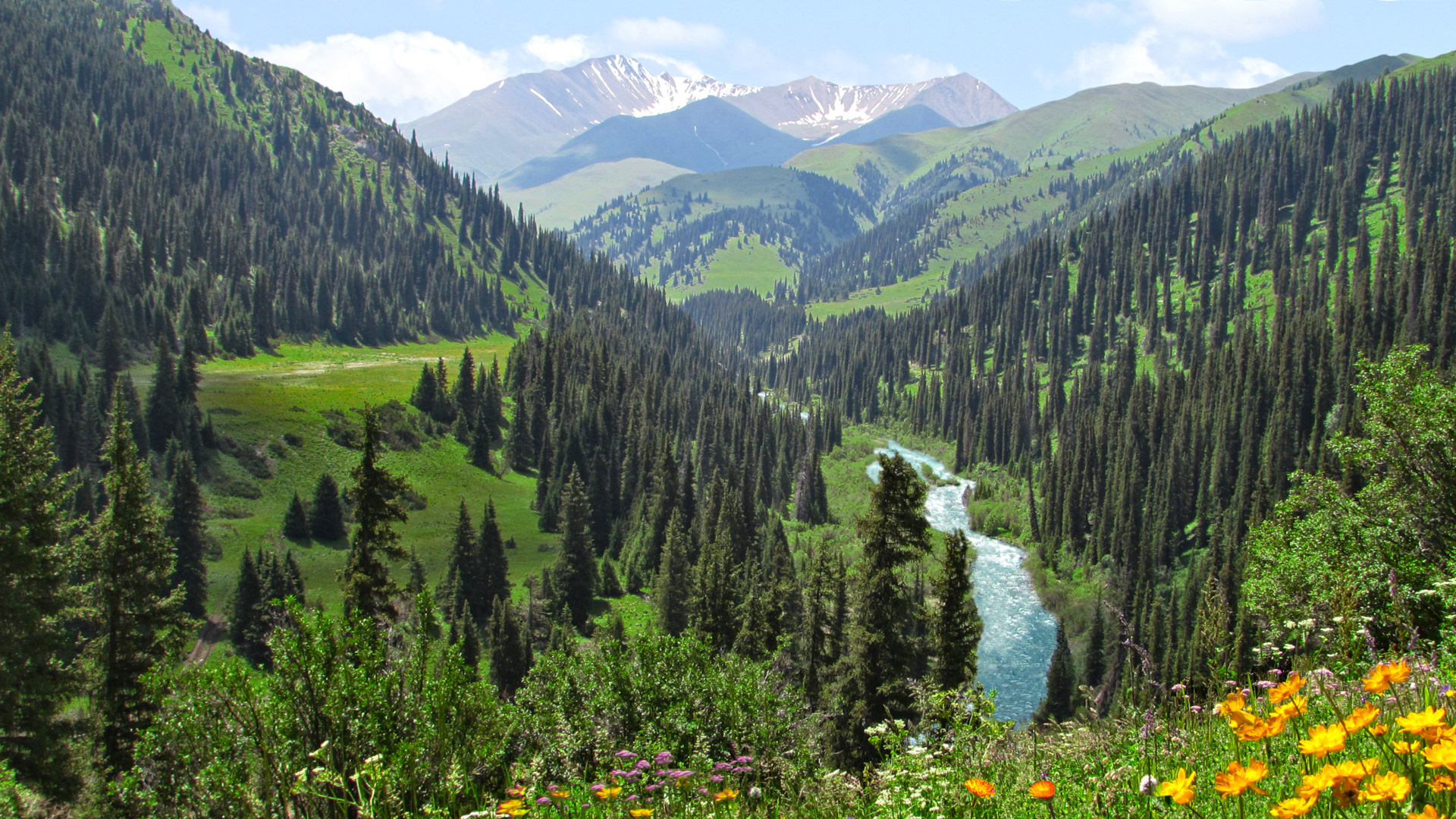 Природа восточно казахстанской области фото
