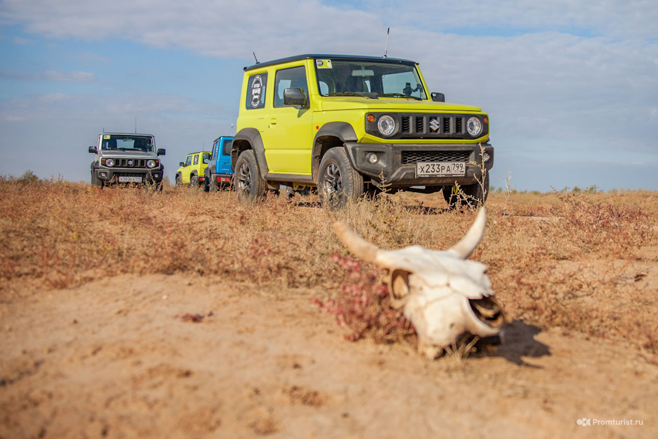 suzuki jimny 5 дверей 2020. Смотреть фото suzuki jimny 5 дверей 2020. Смотреть картинку suzuki jimny 5 дверей 2020. Картинка про suzuki jimny 5 дверей 2020. Фото suzuki jimny 5 дверей 2020