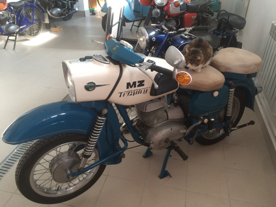 Mz etz 250 мотоцикл