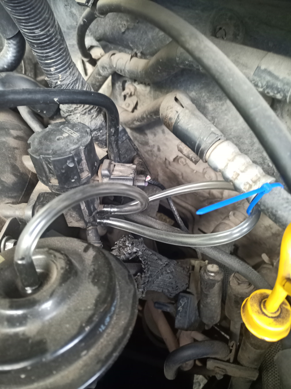Фото в бортжурнале Ford Escape (1G)