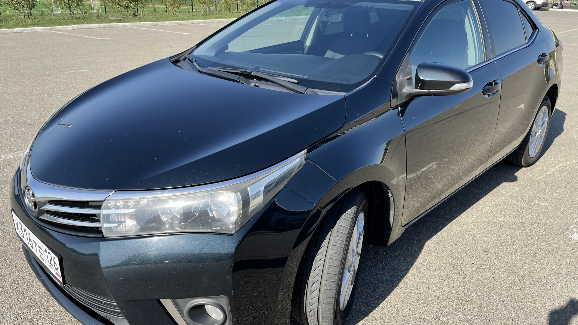 Toyota Corolla (160) 1.6 бензиновый 2013 | на DRIVE2