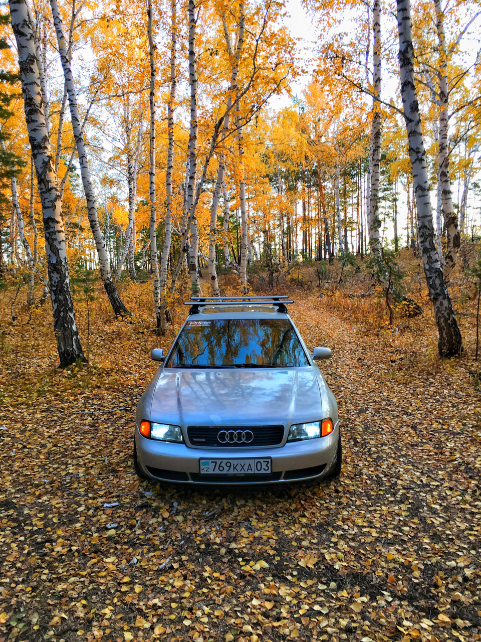 Поперечные Рейлинги! — Audi A4 (B5), 1,8 л., 1995 года | стайлинг | DRIVE2