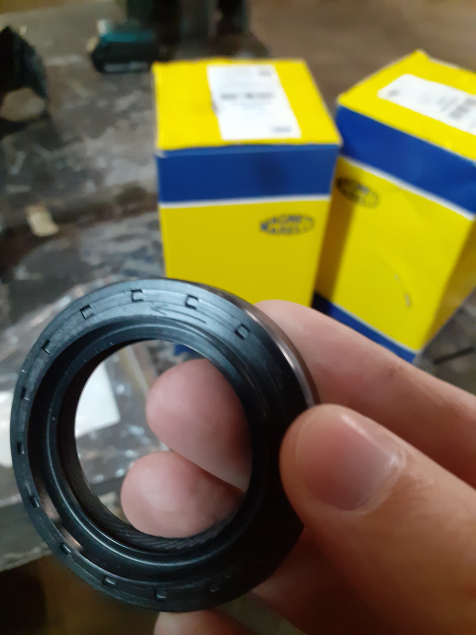 Фото в бортжурнале FIAT Punto II