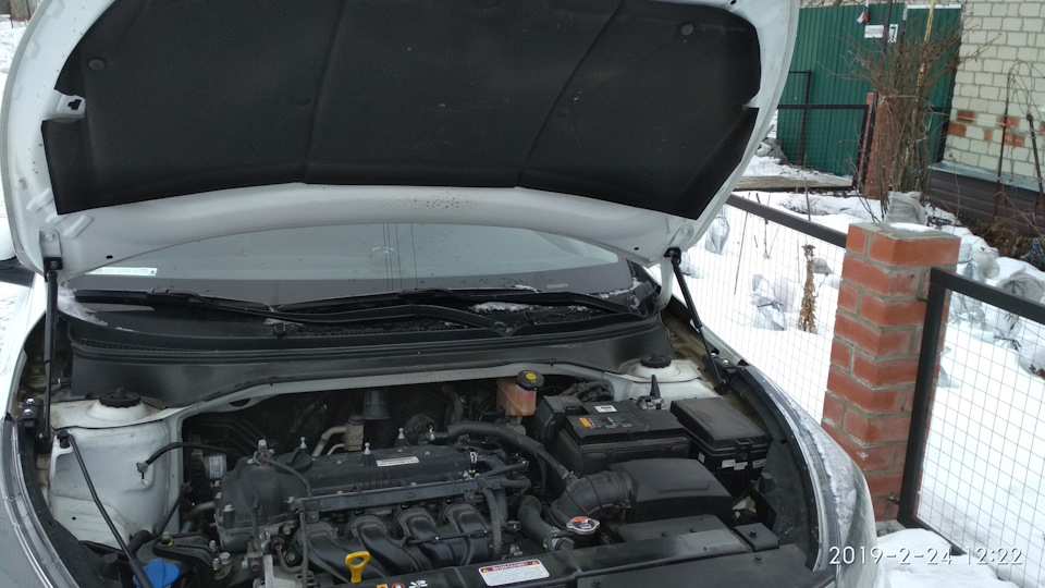 Купить Амортизаторы Капота На Киа