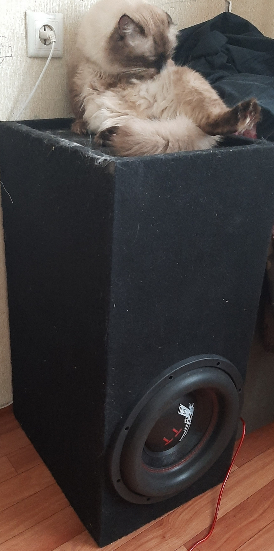 Звучит по-новому. Автозвук. — Toyota Camry Prominent (V30), 2,5 л, 1992 ...