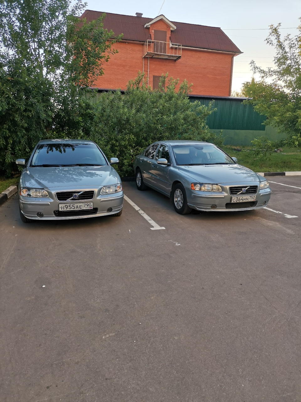 Лось встретил друга — Volvo S60 (1G), 2,4 л, 2007 года | прикол | DRIVE2