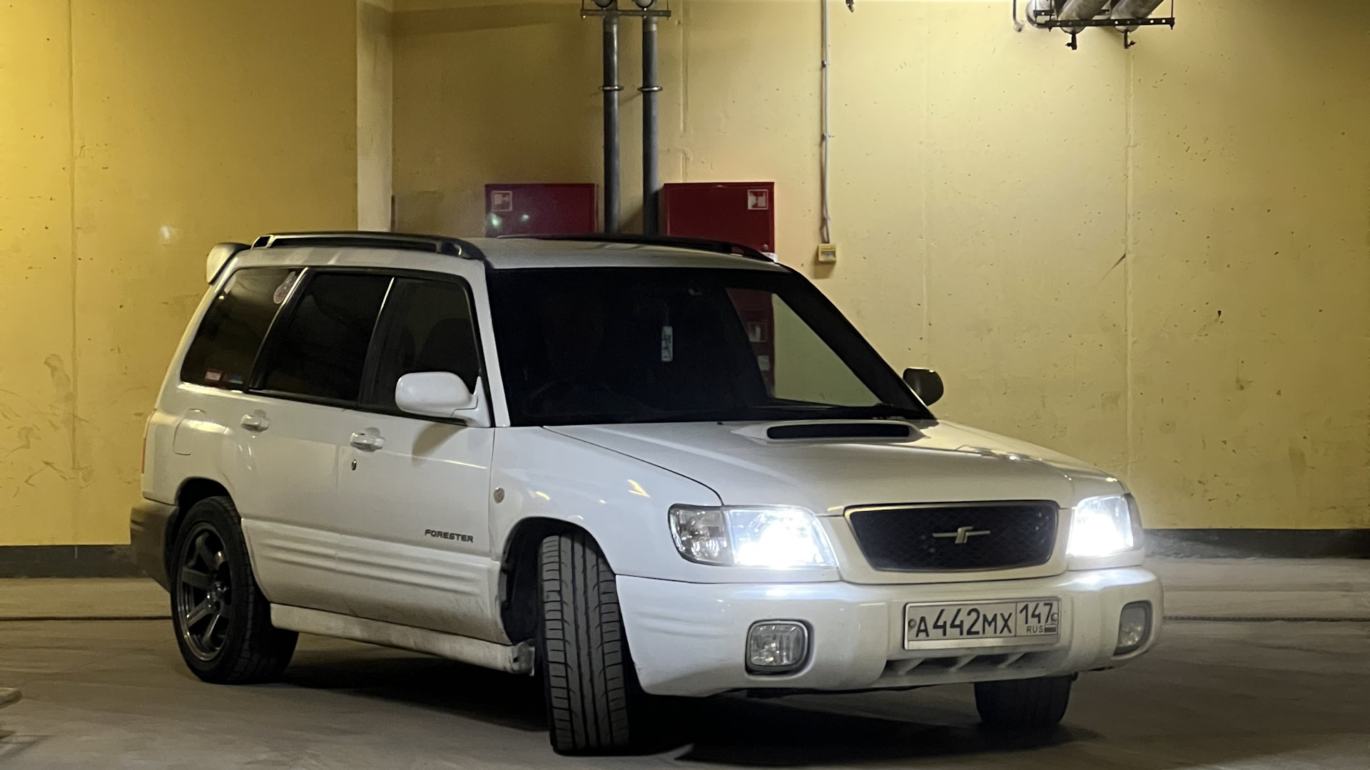 Forester 2001