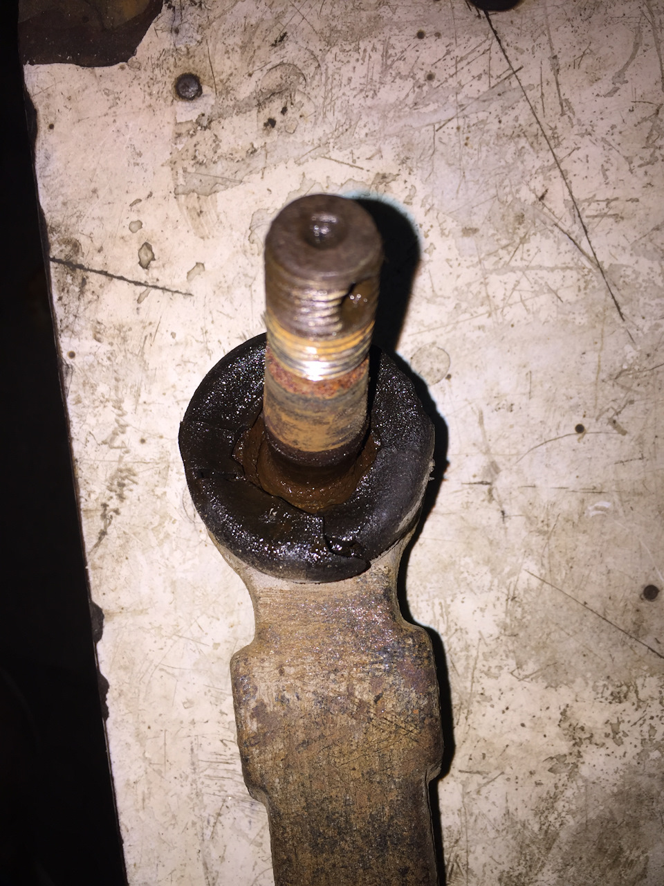 Фото в бортжурнале Great Wall Deer