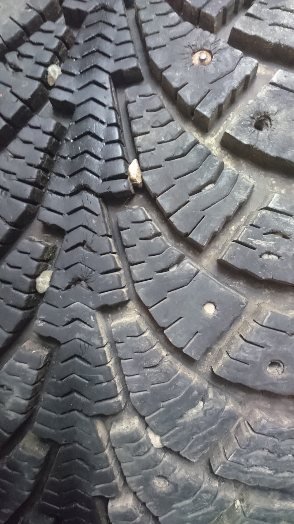 2 — Subaru Forester (SG)