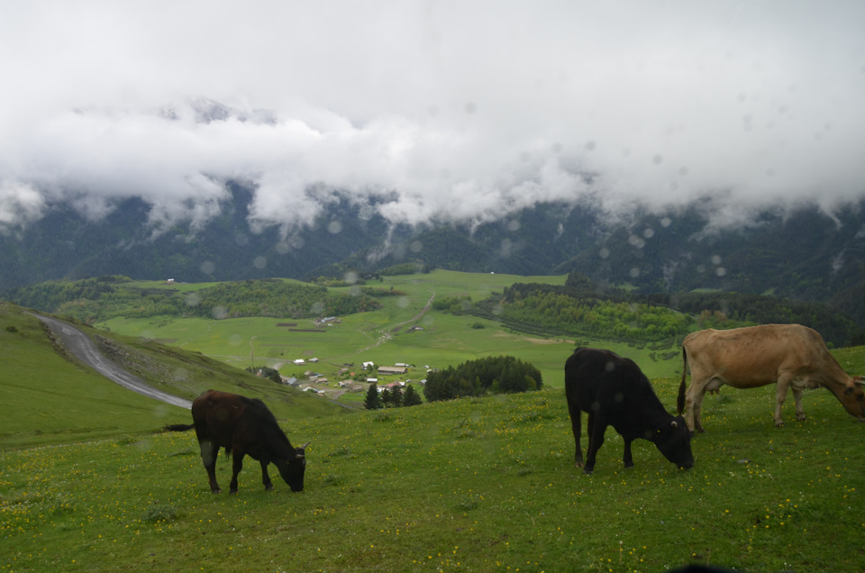 Фото в бортжурнале УАЗ Patriot