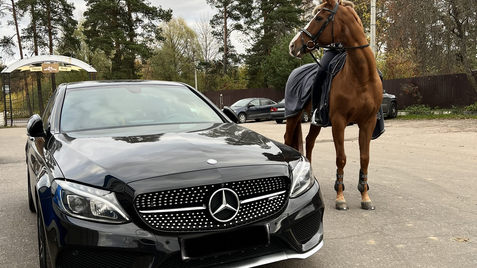 Новый мерин. Мерин 2016. Машины картинки фото BMW.