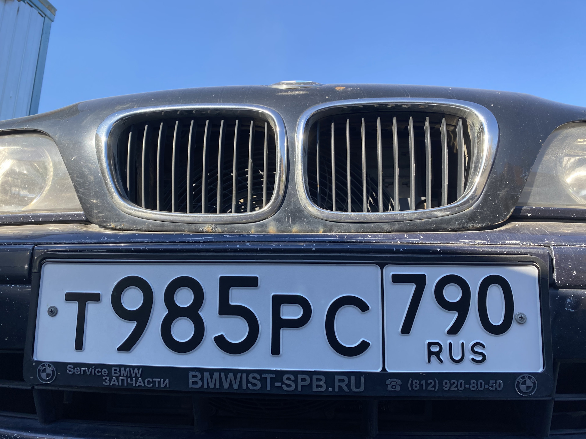 Страховка. Учёт. Номера. Рамки — BMW 5 series (E39), 2,5 л, 2003 года |  страхование | DRIVE2