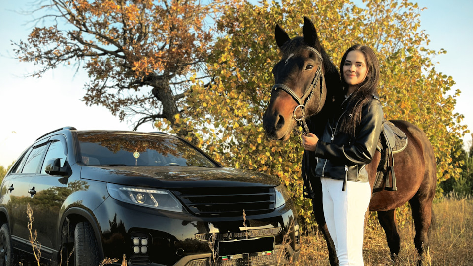 KIA Sorento SORINKAvGLAZUツ_Кaz-NN