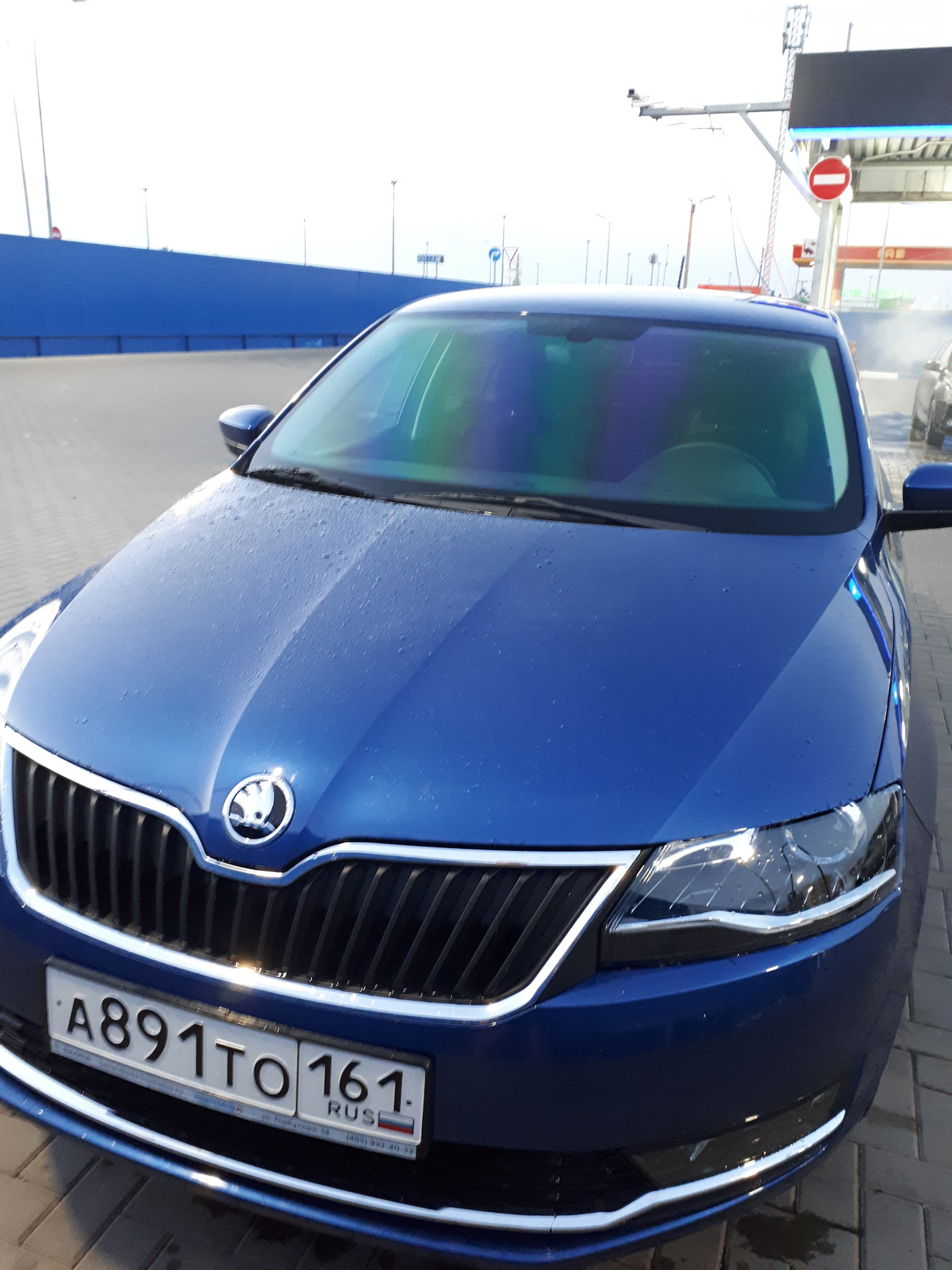 Тонировка Skoda Rapid синий