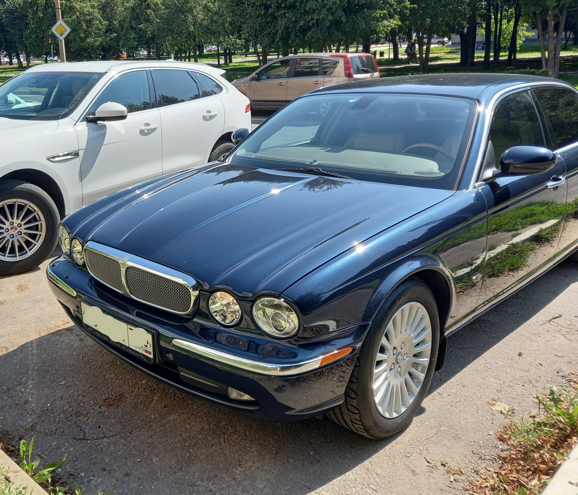 Кот на капот. Опрос. — Jaguar XJ Mark 3, 3,6 л, 2006 года | стайлинг |  DRIVE2