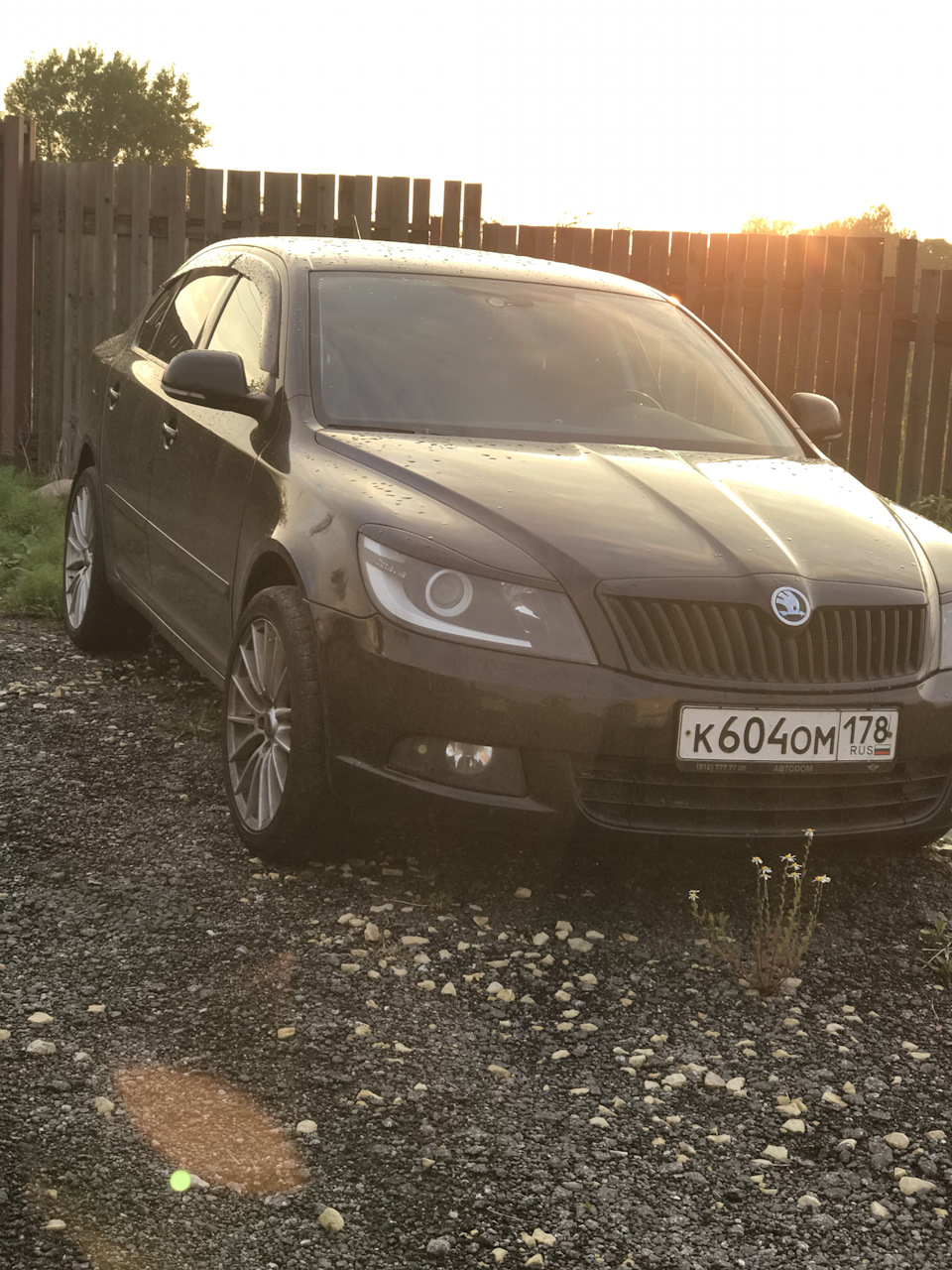 Заводишь а она (*ука) глохнет — Skoda Octavia A5 Mk2, 1,8 л, 2011 года |  поломка | DRIVE2