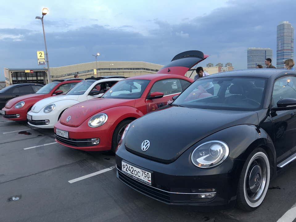 Volkswagen beetle a5