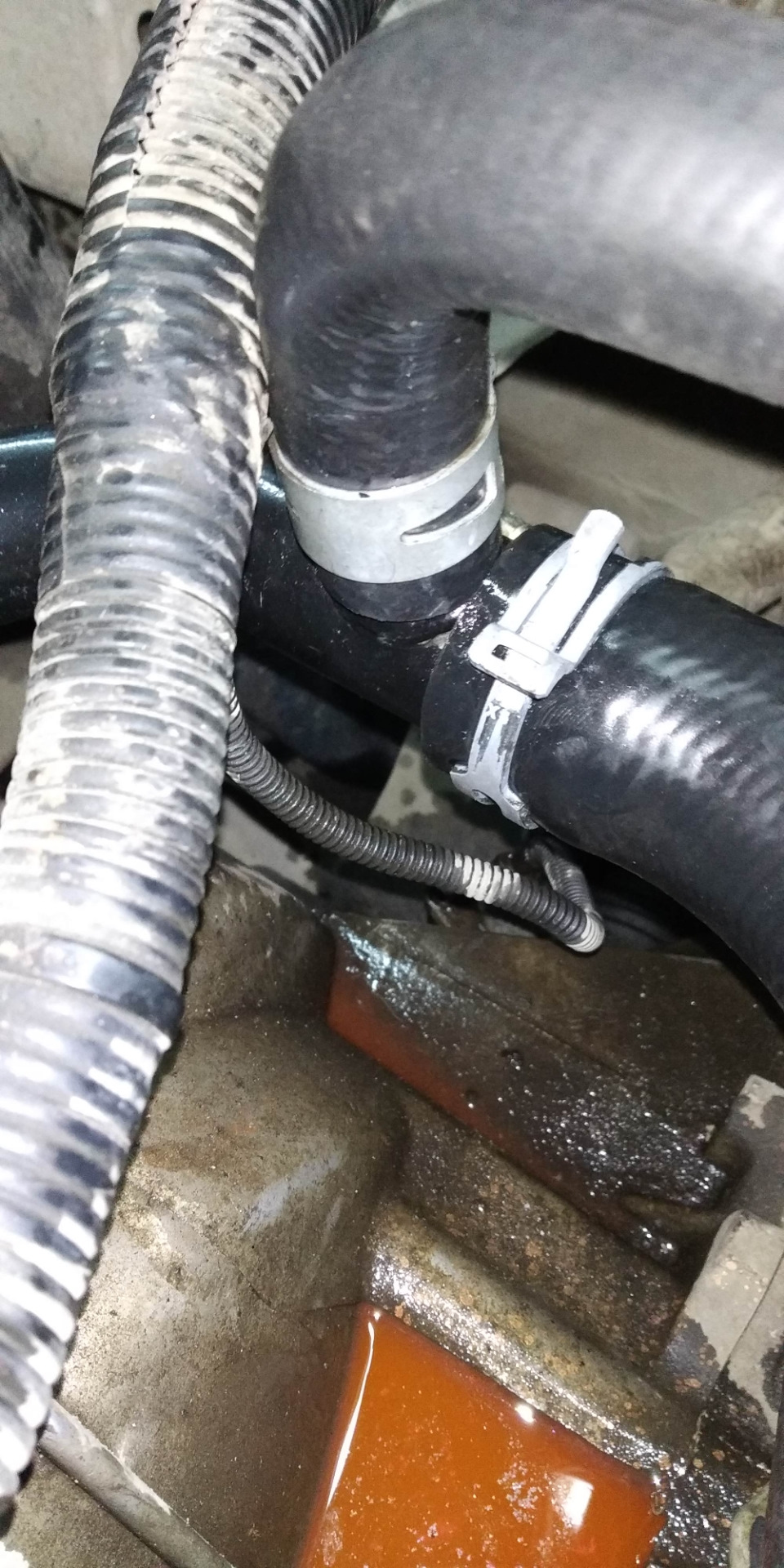 №66 Сод от гранты в калины — Lada Калина универсал, 1,4 л, 2011 года ...