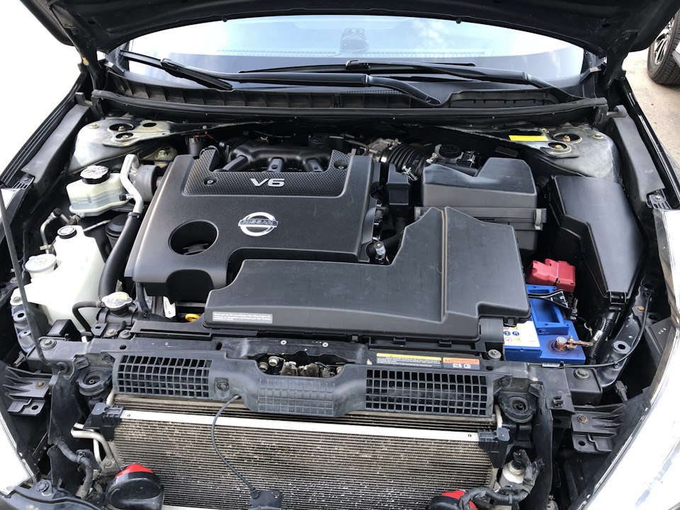 Мойка двигателя — Nissan Teana (J32), 2,5 л, 2011 года | мойка | DRIVE2