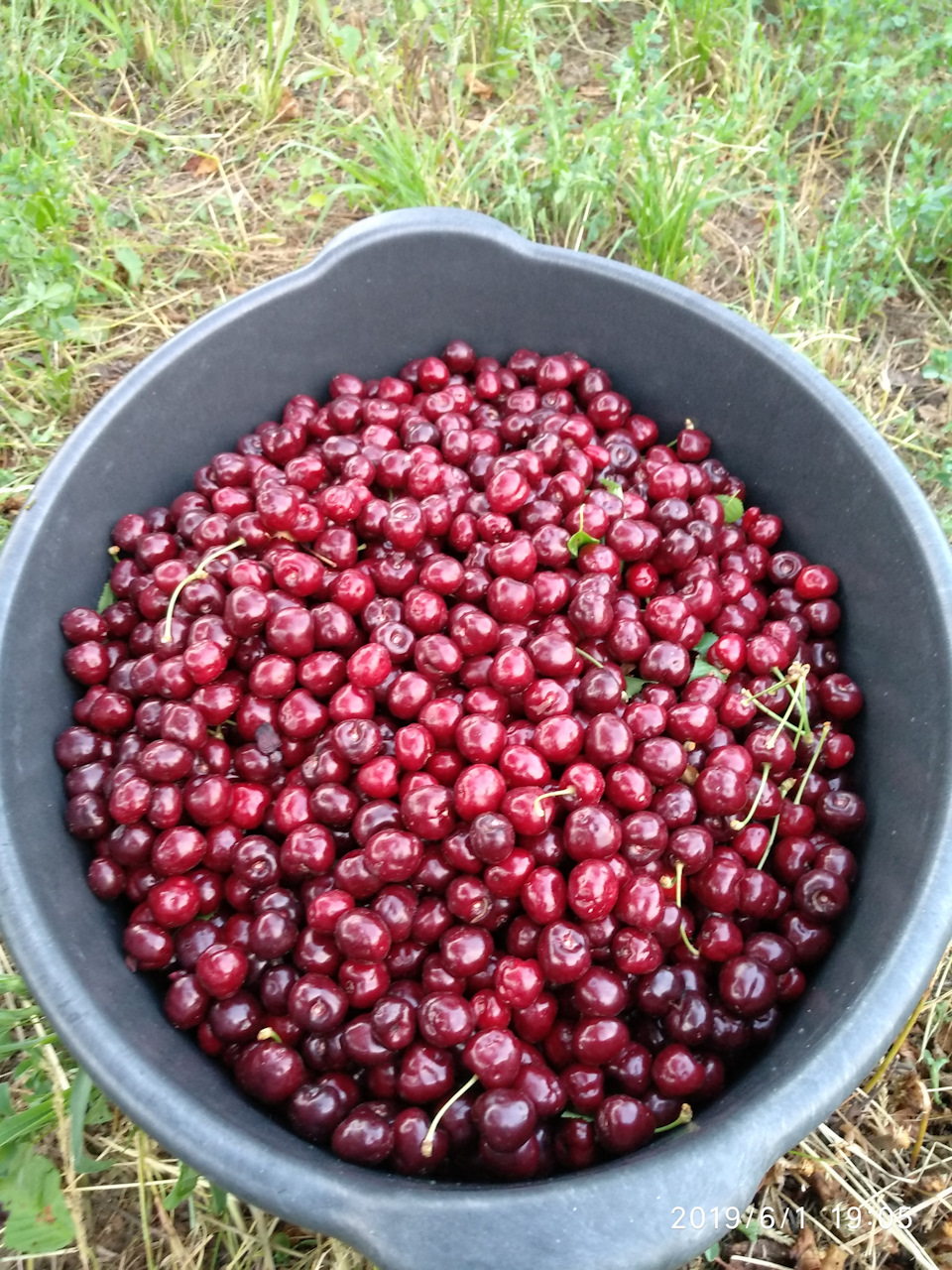 :) много вкусняшки! — Honda CR-V (RE)