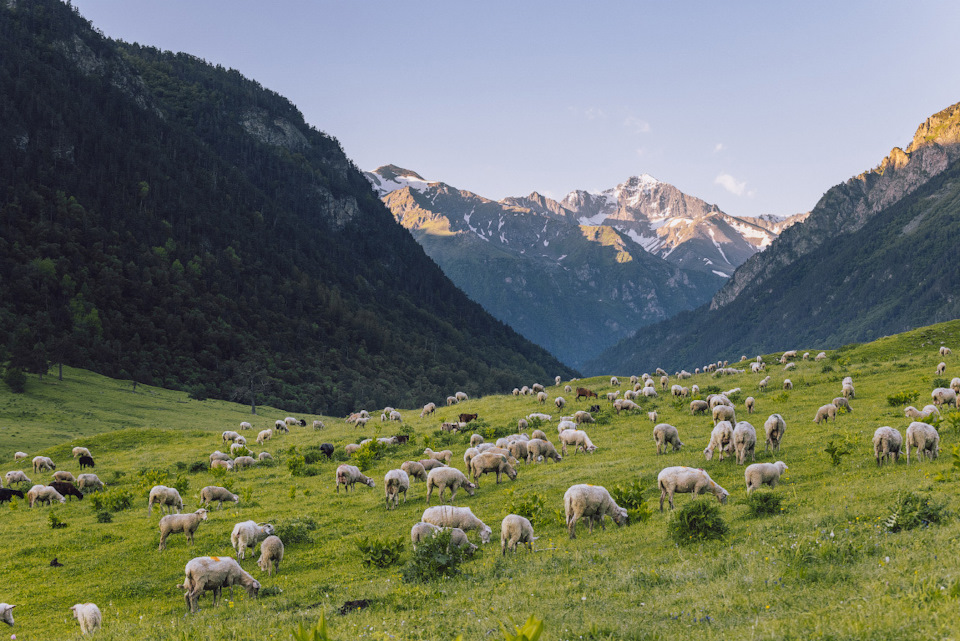 Река маруха карачаево черкессия что означает название. zBeJvLuBqJUPS StTdB6tYadM3U 960. Река маруха карачаево черкессия что означает название фото. Река маруха карачаево черкессия что означает название-zBeJvLuBqJUPS StTdB6tYadM3U 960. картинка Река маруха карачаево черкессия что означает название. картинка zBeJvLuBqJUPS StTdB6tYadM3U 960. Река Маруха протекает по территории туристического района Архыза в Карачаево-Черкесской республике. Река маруха карачаево черкессия что означает название. zBeJvLuBqJUPS StTdB6tYadM3U 960. Река маруха карачаево черкессия что означает название фото. Река маруха карачаево черкессия что означает название-zBeJvLuBqJUPS StTdB6tYadM3U 960. картинка Река маруха карачаево черкессия что означает название. картинка zBeJvLuBqJUPS StTdB6tYadM3U 960. Река Маруха протекает по территории туристического района Архыза в Карачаево-Черкесской республике.