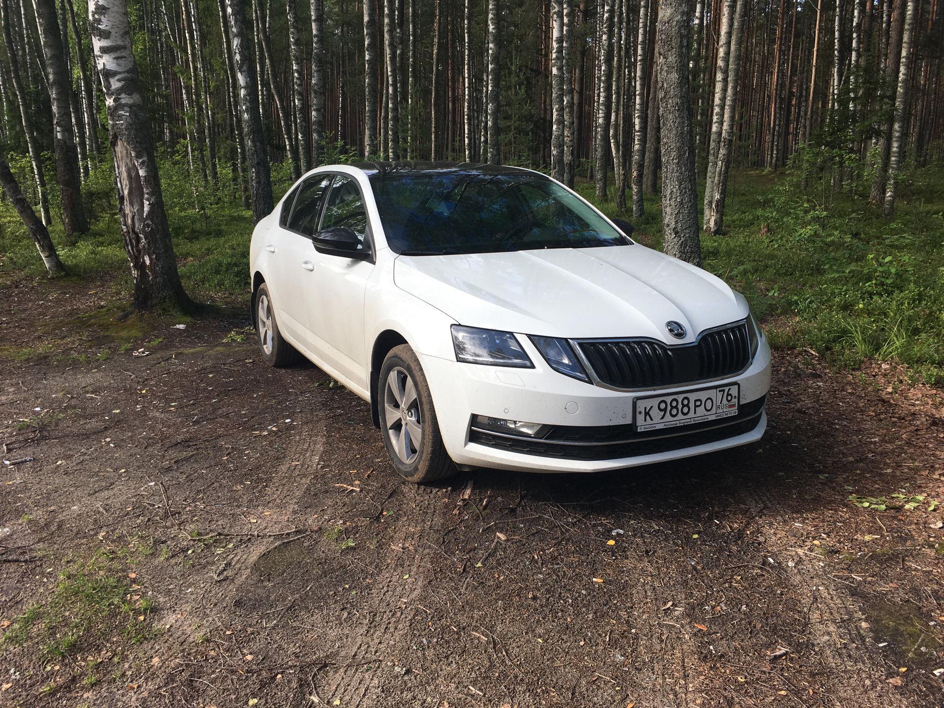 Ярославль- Пенза — Skoda Octavia A7 Mk3, 1,6 л, 2017 года | путешествие |  DRIVE2