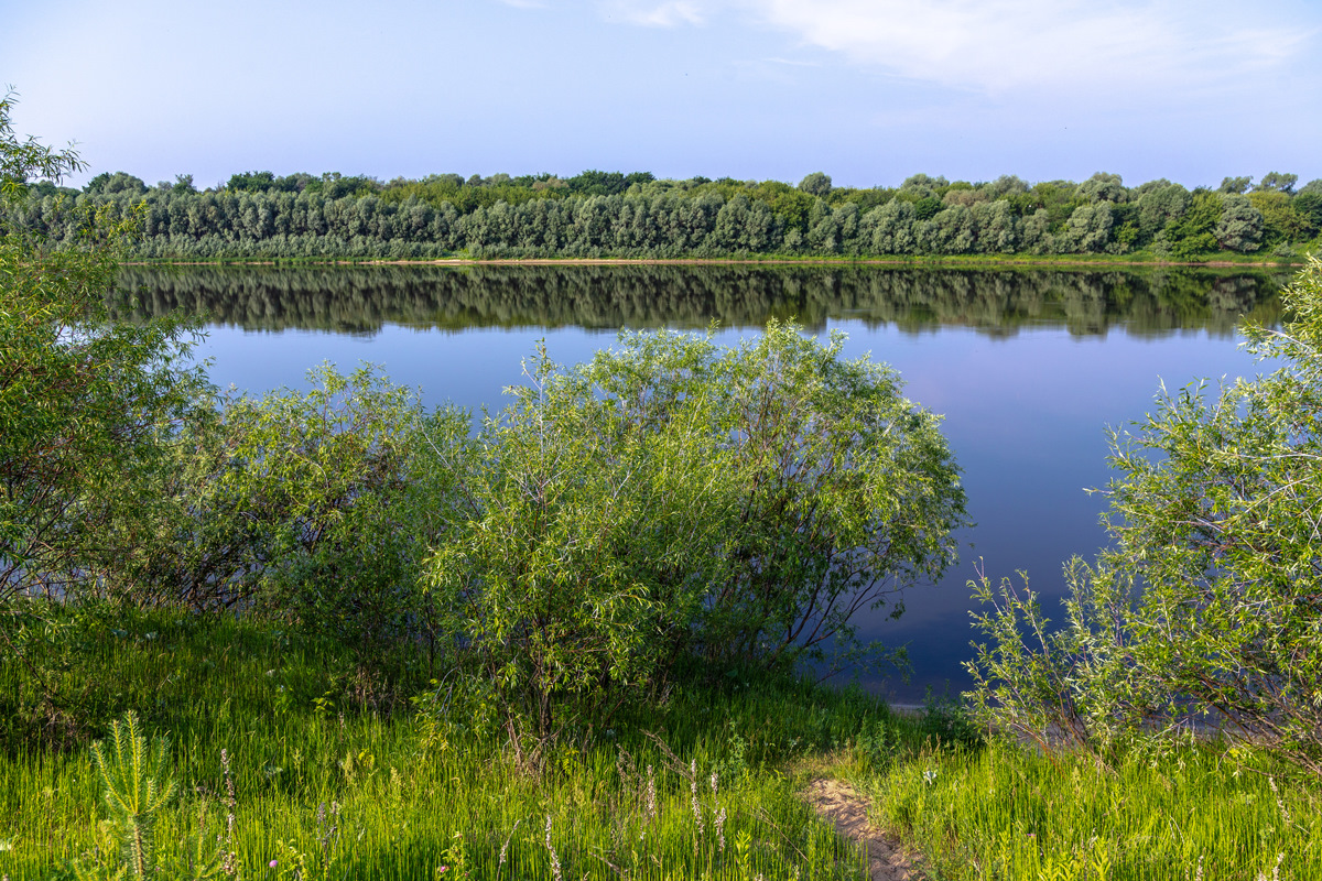 Озеро Пырское Нижегородская область. Борщачье озеро Нижегородская область. Озеро Черемисское Нижегородская область. Озеро Нерисово Нижегородская область.