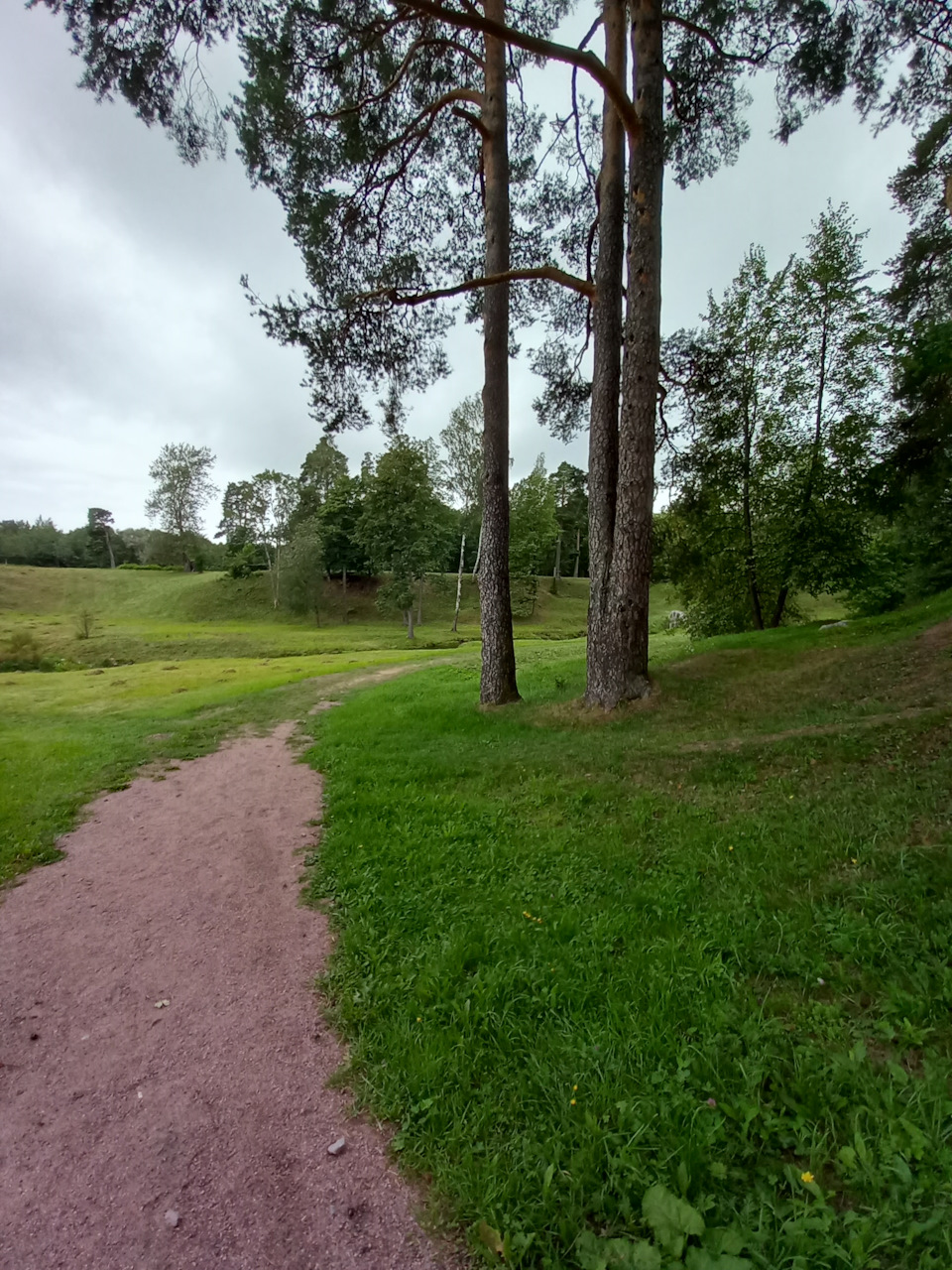 Фото в бортжурнале Renault Sandero 2G