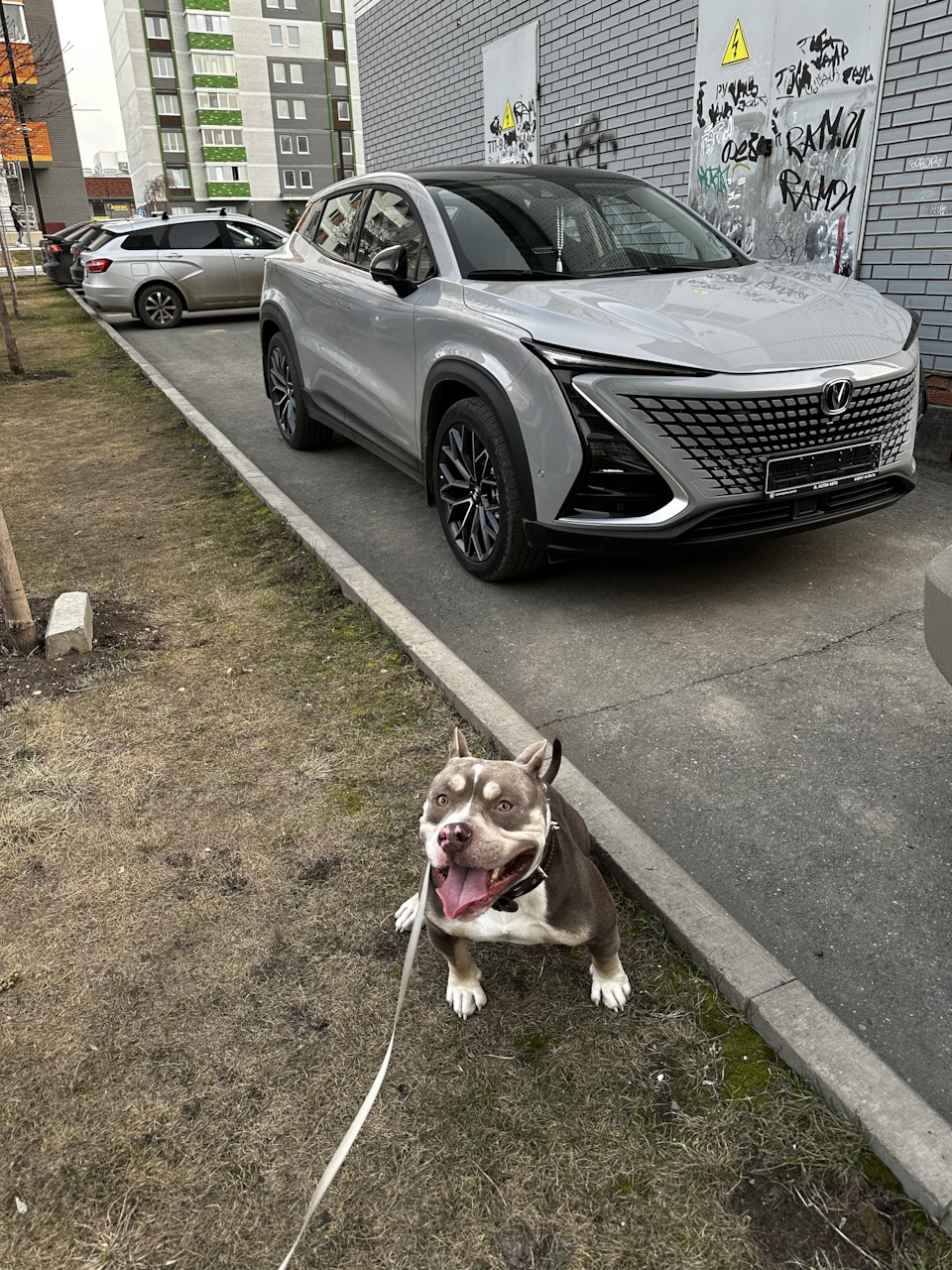 Первые дни — Changan Uni-T, 1,5 л, 2023 года | визит на сервис | DRIVE2