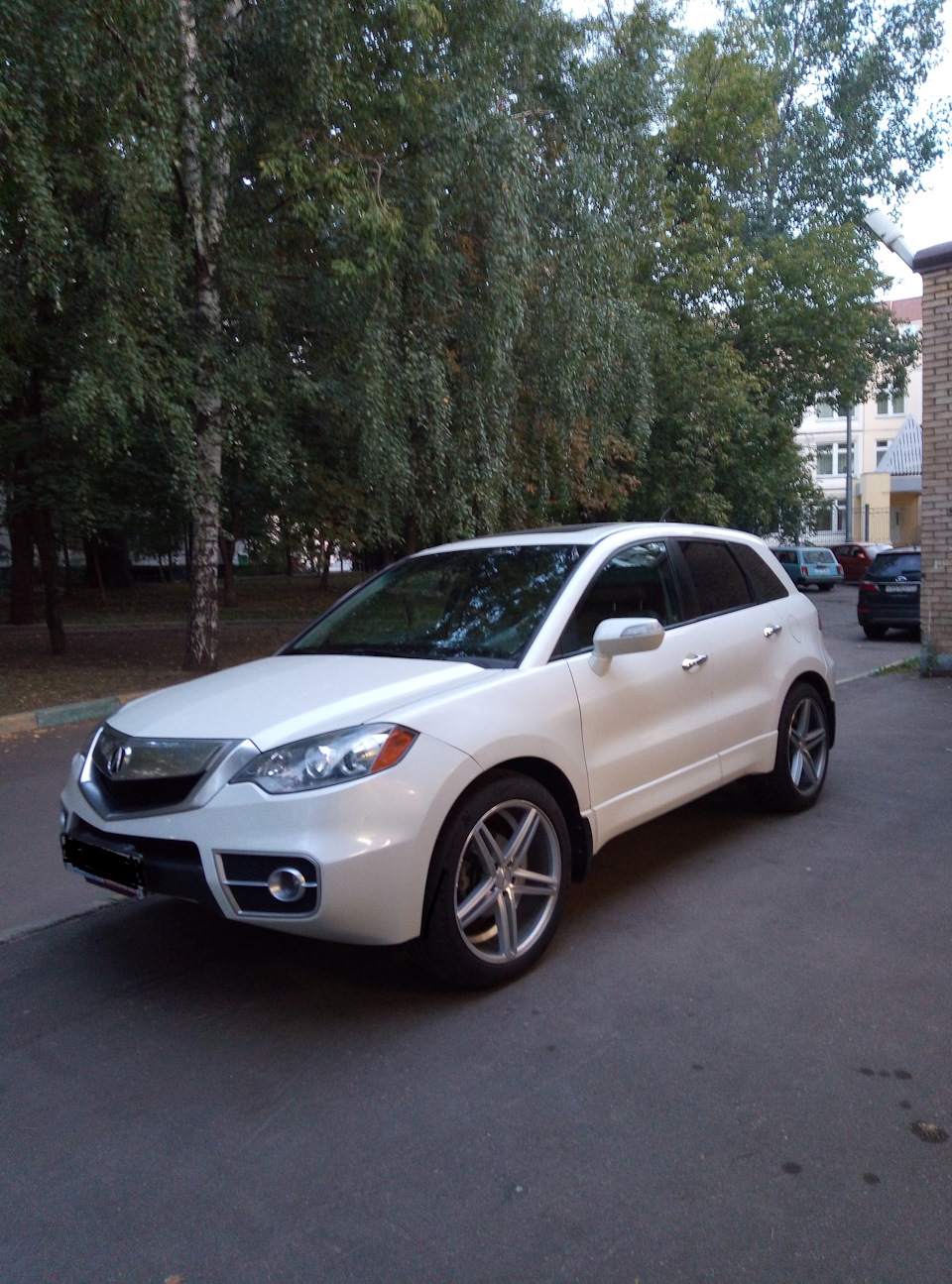 Acura RDX AVS