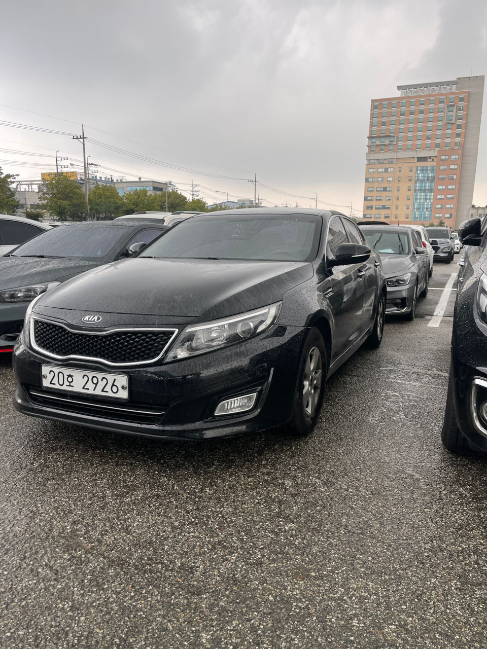 Покупка машины + отзыв о Korea Auto/Asia Cars — KIA K5 (1G), 2 л, 2014 года  | покупка машины | DRIVE2