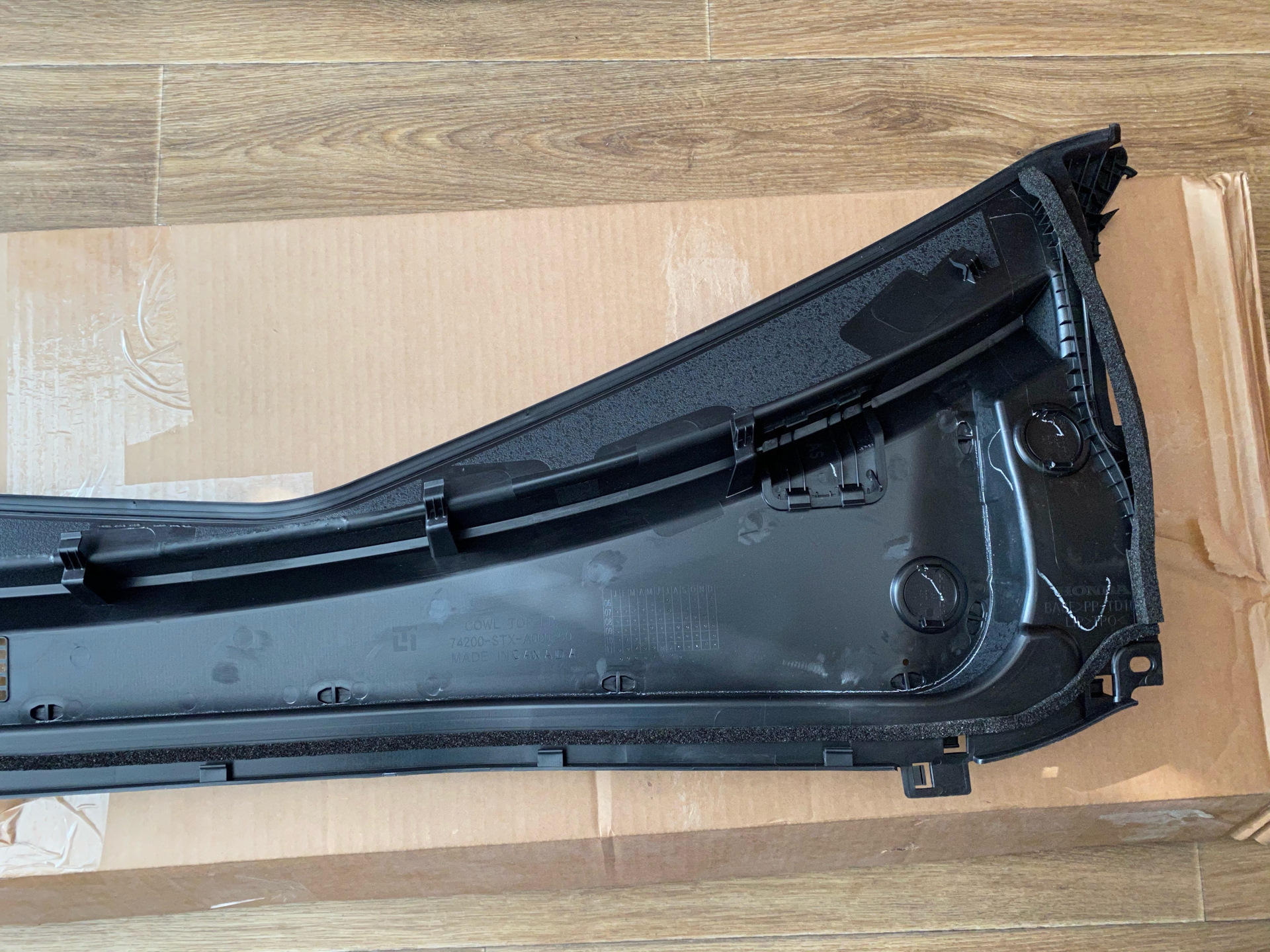 жабо задние