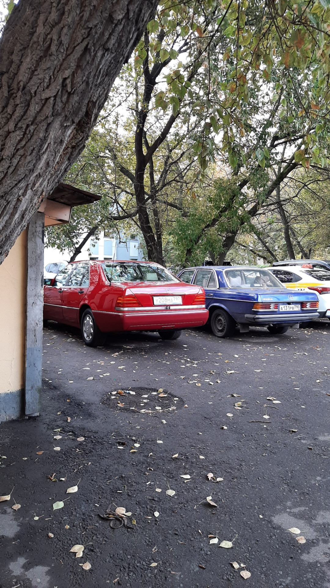 Нас утро встречает прохладой, дождём и… Мерседесом w123! — Mercedes ...