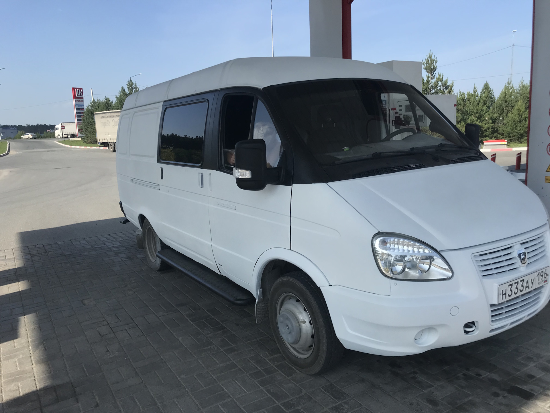 Белая газель