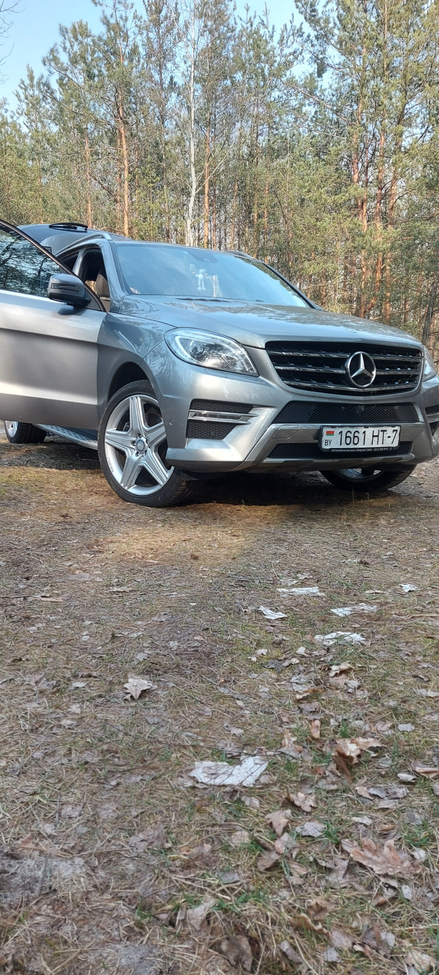 Машина и Лес — Mercedes-Benz M Class (W166), 3,5 л, 2013 года | покатушки |  DRIVE2