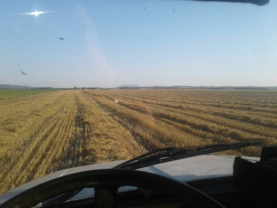 Просто так)) — ГАЗ 33073 Самосвал, 4,2 л, 1994 года | просто так | DRIVE2