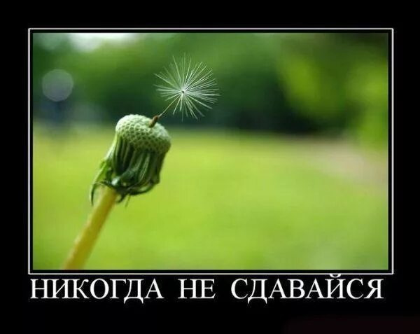 Фото в бортжурнале Ford Focus Hatchback II