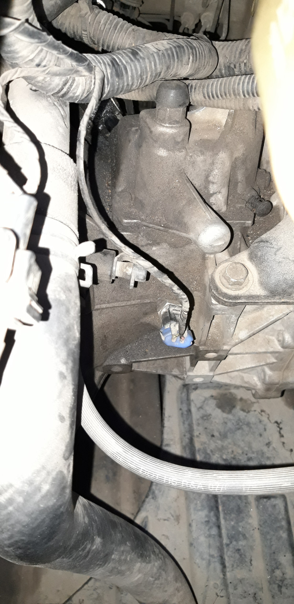 Датчик заднего хода шевроле авео т250. Датчик давления масла chevrolet rezzo 1. Лягушка заднего хода лачетти 1. Датчик заднего хода шевроле круз 1. Датчик заднего хода лачетти.