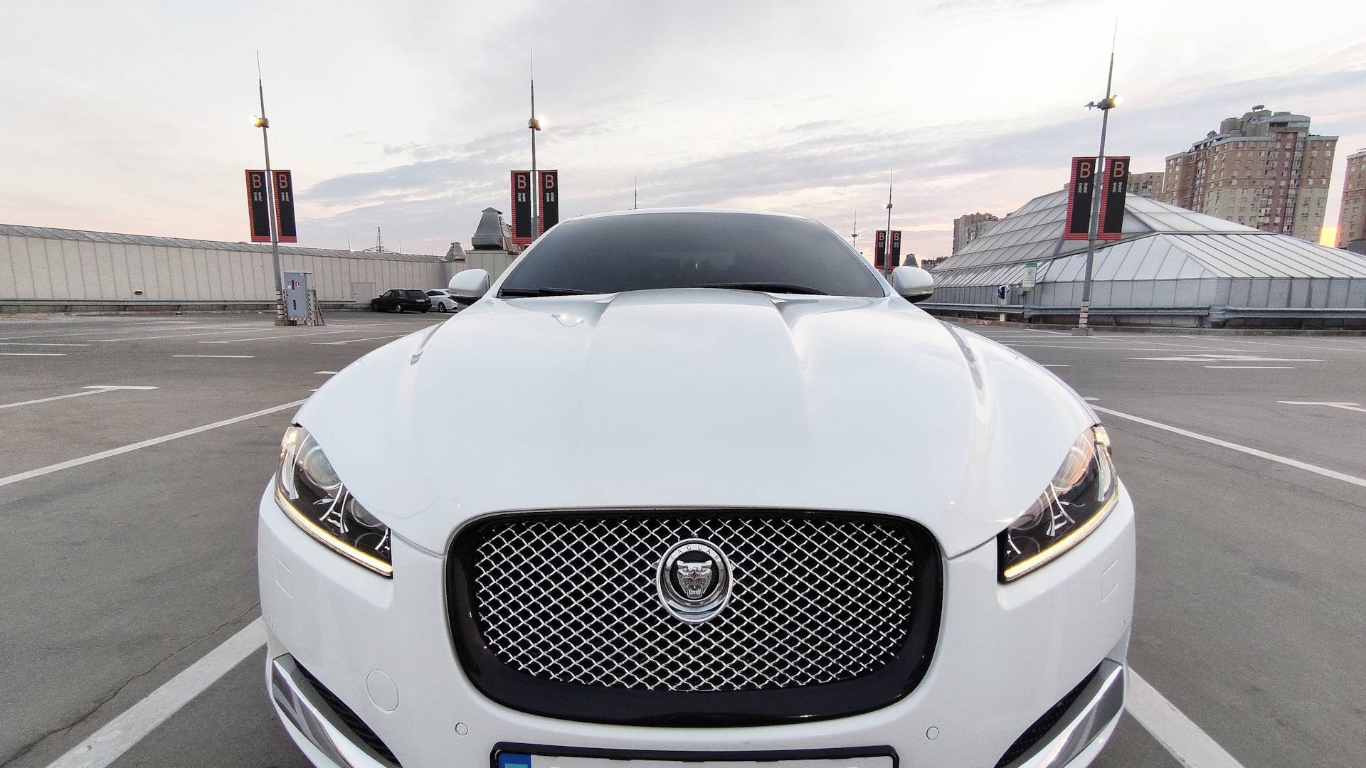 Jaguar XF (1G) 3.0 бензиновый 2012 | 3.0 Дикая киса 🔥 на DRIVE2