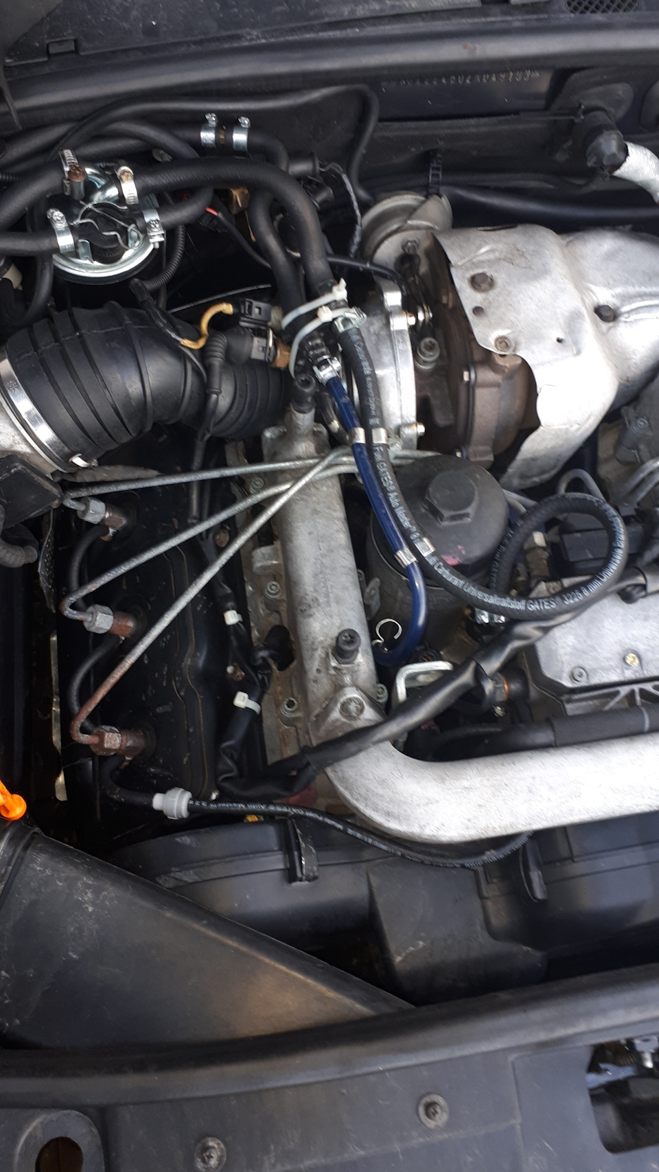 Фото в бортжурнале Audi A6 Avant (C5)