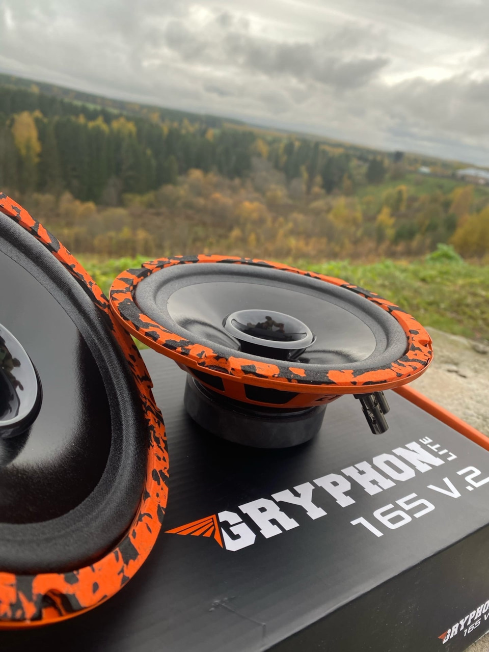 Gryphon pro 10 v 3. DL Audio Gryphon Lite 165 v.2. DL Gryphon Lite 165. Динамики Грифон Лайт 165. DL Audio Lite 165.