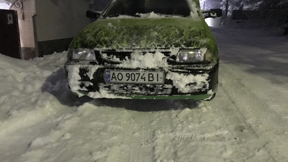 SEAT Inca Машина трава